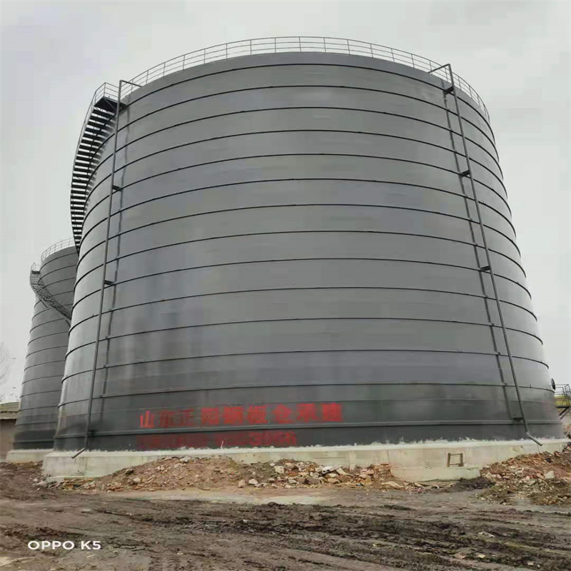 城固3万吨大型钢板库